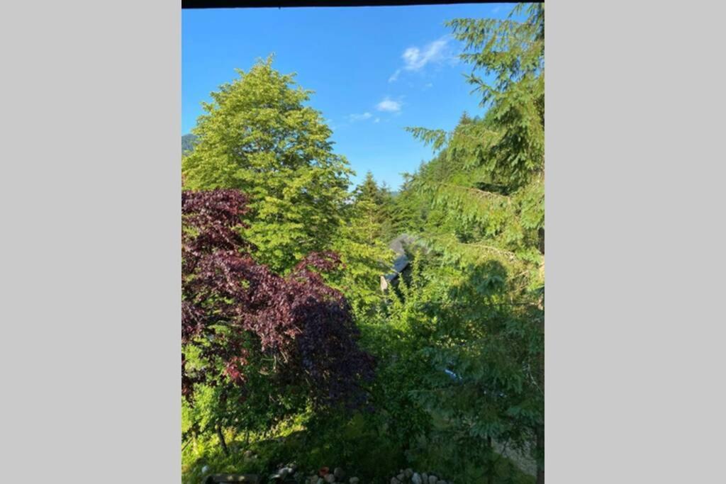 Ferienhaus Blommers Palfau Exteriör bild