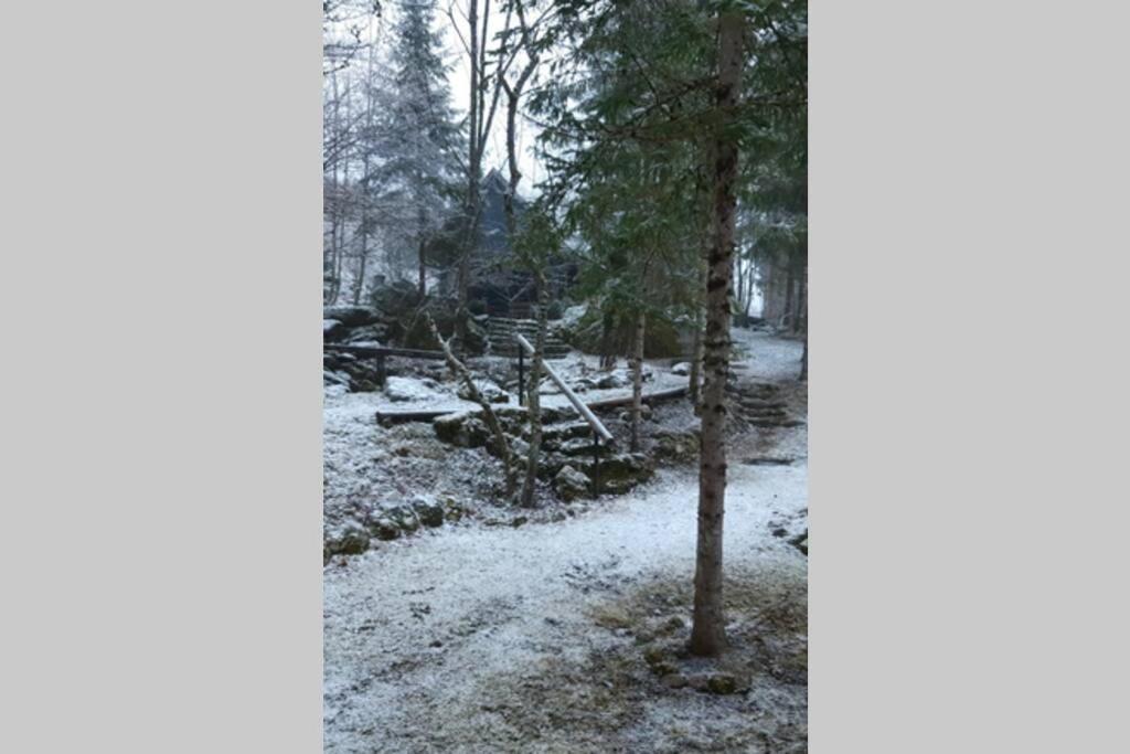 Ferienhaus Blommers Palfau Exteriör bild